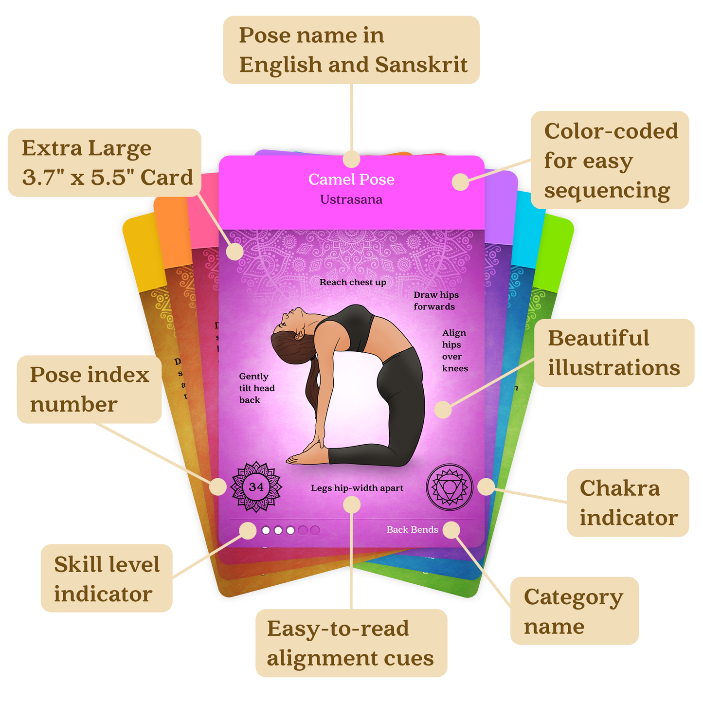 Premium Yoga Cards for Beginners