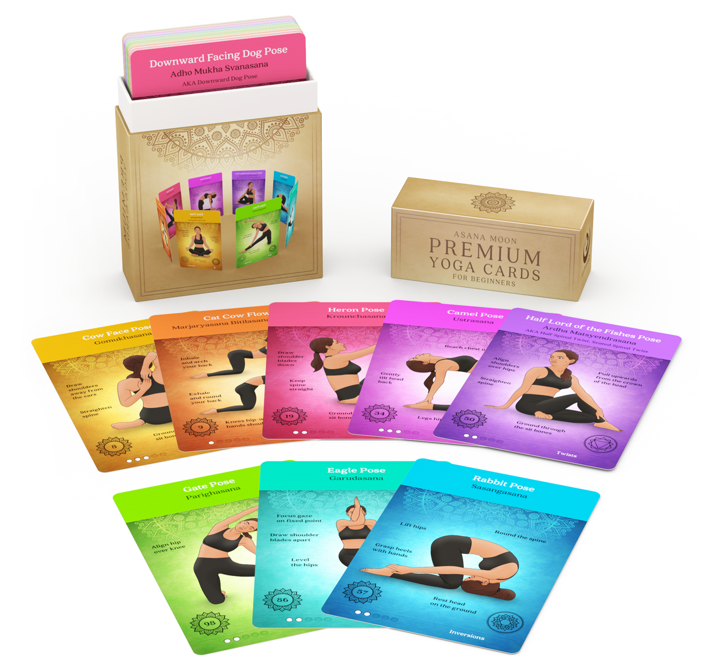 Premium Yoga Cards for Beginners